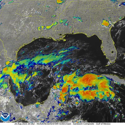 Is a tropical storm heading toward Florida and Georgia? | The Southern Sun